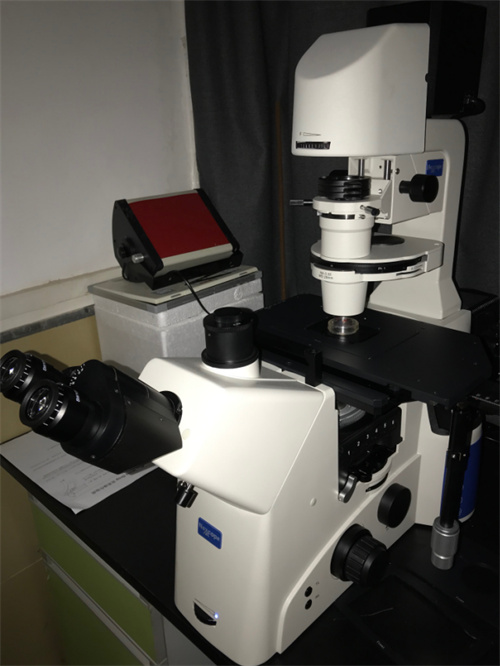 广州明慧NIB910-FL科研级倒置荧光显微镜应用于华南师范大学科研使用