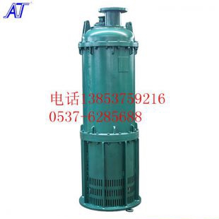 汉中市防爆潜水排沙泵的价格BQS30-30-5.5