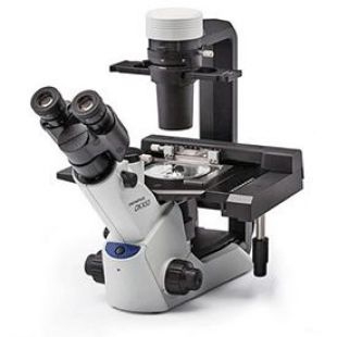 奥林巴斯CKX53常规倒置型显微镜