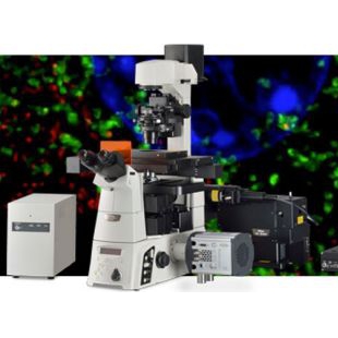 N-SIM E 超分辨率显微镜系统