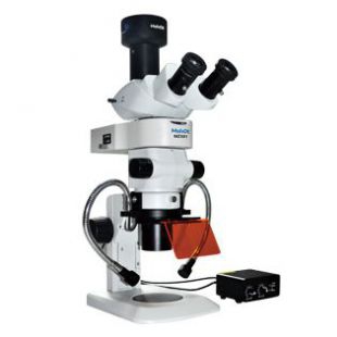 体视荧光显微镜 MZX81