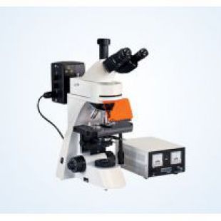落射荧光显微镜 MF30
