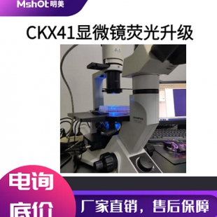  奥林巴斯CKX41倒置显微镜荧光成像升模块