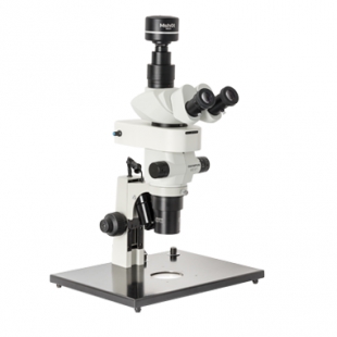 体视荧光视频显微镜鉴定朱墨时序MZX81-II