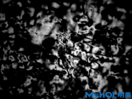 偏光显微镜MP41+研究级相机MSX10助新材料研究检测结构