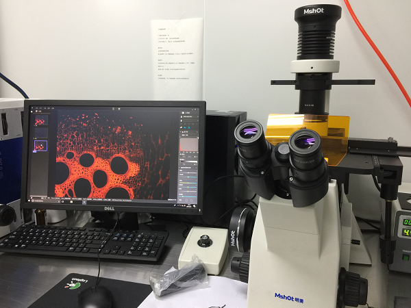 明美荧光显微镜用于培养基细菌观察