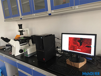 明美倒置荧光显微镜助力ZG物理研究所材料检测
