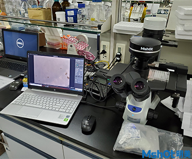 明美新款显微镜<em>相机</em>助力深圳市第三人民医院肝病研究所活细胞检测