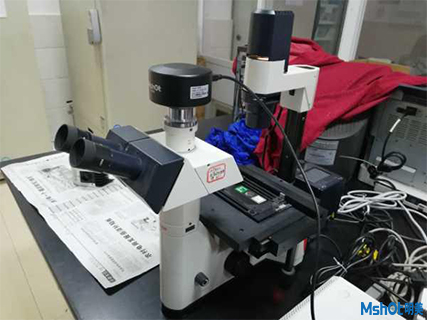 明美CCD显微镜相机搭配徕卡显微镜用于荧光标记