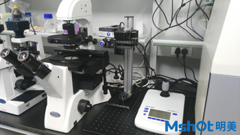 倒置荧光显微镜MF52在深圳大学推动显微注射法发展