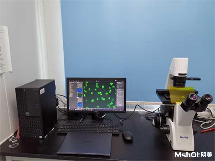 倒置荧光显微镜应用于湖南师范大学医学院免疫细胞检测.jpg