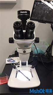 明美显微镜相机助力厦门大学环境与生物工程斑马鱼观察1.jpg