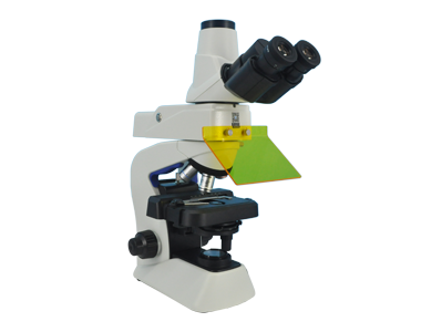 生物显微镜ML31