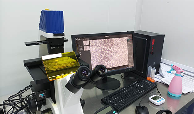 倒置荧光显微镜MF52-N1.jpg
