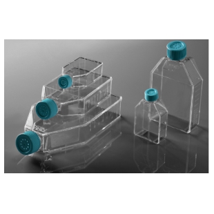 无锡耐思NEST T75细胞培养瓶，密封盖，TC、708001