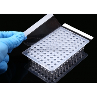 无锡耐思NEST、PCR封板高透膜，压敏膜，141 × 78 mm、410011