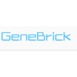 美国GeneBrick 0.1ml，白色八联管，配光学平盖 GP020804