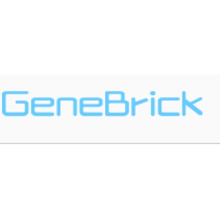美国GeneBrick96孔板，宽半裙边，0.2ml，透明 GP022160
