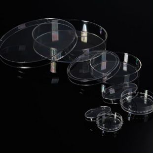 山东巴罗克 细胞培养皿，35×10mm 07-3035