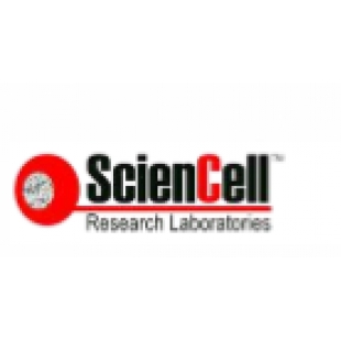 美国ScienCell  HHMa人肝巨噬细胞 5340