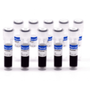 2×常规PCR预混液（含染料）(MP05001)