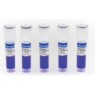2×升级款常规PCR预混液（含染料）（ MP05401S/ MP05401M/ MP05401L）