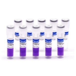 2×长片段PCR预混液（含染料）(MP22001)