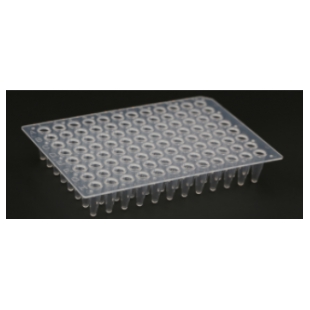 96孔荧光定量PCR板，200 μl透明，无裙边，单切角（A12）(MQ50401)