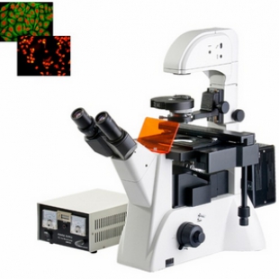 上海无陌光学倒置荧光显微镜WMF-3650