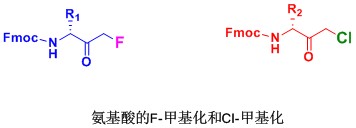 FMK,CMK多肽修饰技术1.jpg