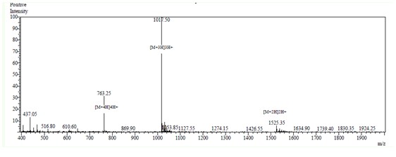 多对二硫键成环技术4.jpg