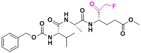 FMK,CMK多肽修饰技术2.jpg