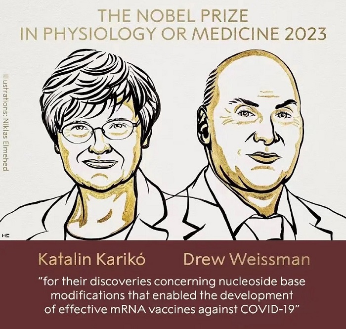 2023年诺贝尔生理学或医学奖（碱基修饰/mRNA疫苗）