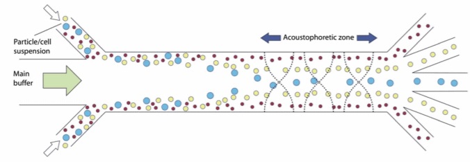 1-particle-separation-acoustics-microfluidics-Elveflow-Inno.jpg