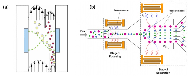 3-free-flow-acoustophoresis-microfluidics-Elveflow-Innovati.jpg