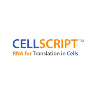 cellscript总代理 ScriptCap™ Cap 1 Capping System