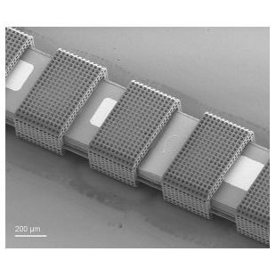 Nanoscribe  3D微纳加工应用于生命科学领域