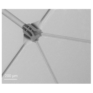 Nanoscribe 突破二维局限实现三维微流道结构设计