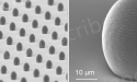 Nanoscribes3D微纳加工技术 - 光谱学3D非球面微透镜研发