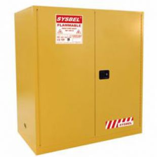 WA811100易燃液体安全储存柜（油桶型）