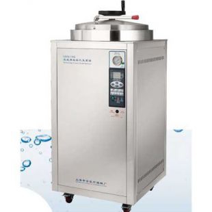 上海申安LDZH-100L 100立升立式压力蒸汽灭菌器