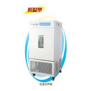 上海一恒LRH-50CA低温生化培养箱(-20℃)