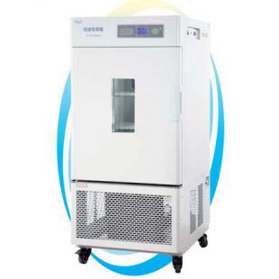 上海一恒LHS-800HC-Ⅱ恒温恒湿箱-专业型(-10℃)