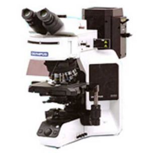 奥林巴斯BX53研究级显微镜（双目）
