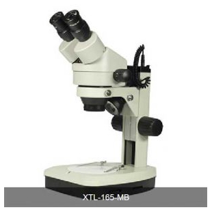 江西凤凰XTL-165-MB连续变倍体视显微镜