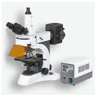 宁波永新N-800F两波段荧光显微镜