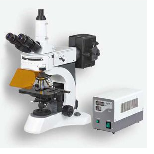 宁波永新N-800F四波段荧光显微镜