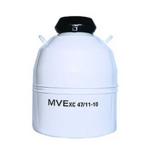 美國MVE XC47/11-10液氮罐