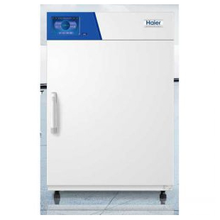 海尔生物-HFP-168电热恒温培养箱（强制对流）