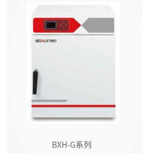 上海博迅BXH-450G干熱滅菌箱（100℃）